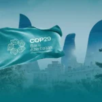 COP29