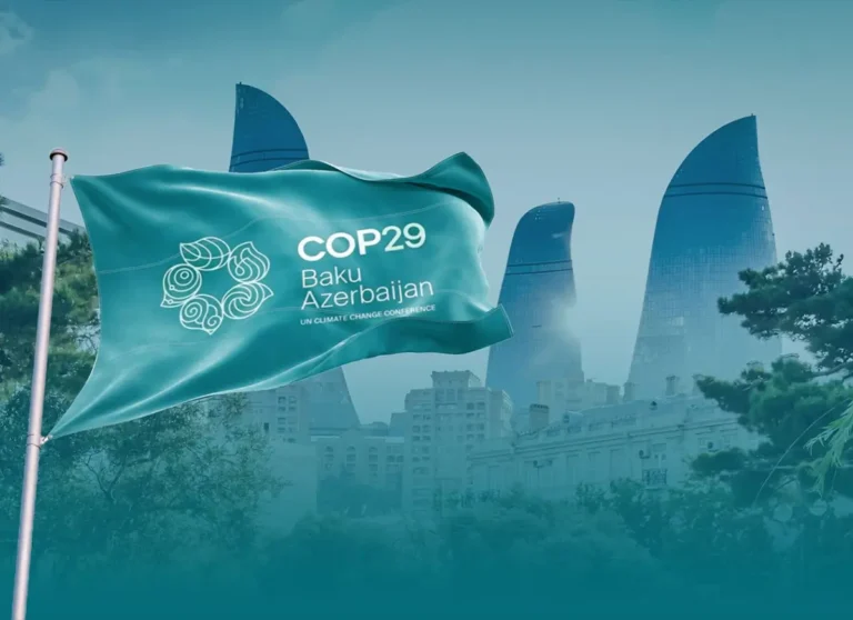 COP29